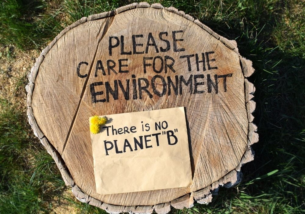 Prevent deforestation